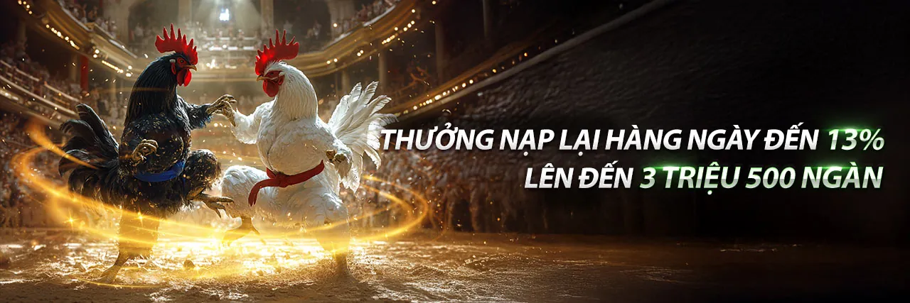 Sân vận động tràn đầy năng lượng, tượng trưng cho cá cược thể thao trực tuyến tại c54 info